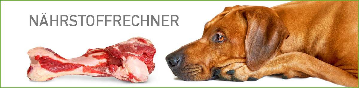 zum Nährstoffrechner der Futterbox